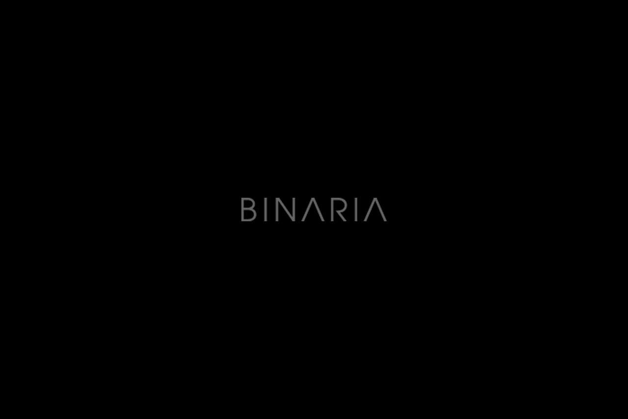 __binaria